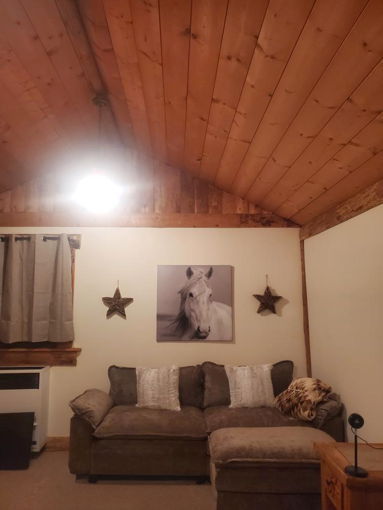 Orchard Strong Cabin